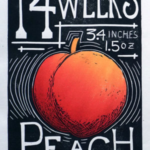 14 Weeks Peach, 2017, Woodcut Print