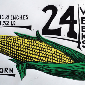 24 Weeks Corn, 2017, Woodcut Print