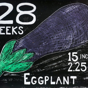 28 Weeks Eggplant, 2018, Woodcut Print