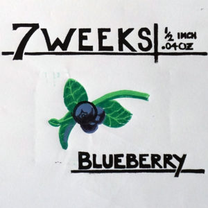 7 Weeks Blueberry, 2017, Woodcut Print