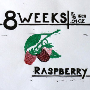 8 Weeks Raspberry, 2017, Woodcut Print