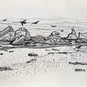Harris Beach Oregon, 2014, 4x6 inches, pen on paper