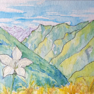 Te Araroa Trail, New Zealand; 2015, 4x6 inches, watercolor on paper