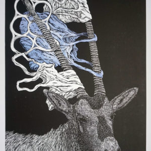 Blue Oryx: 2020, 14 x 20 inches, Linocut, Edition of 14